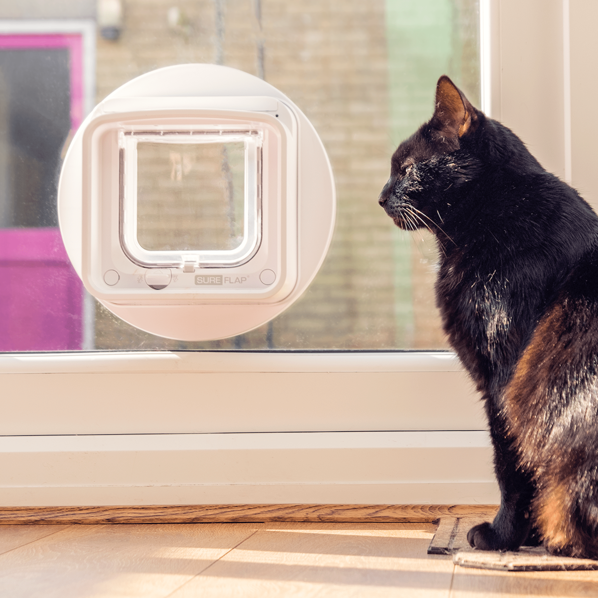 Cat shop flap smart