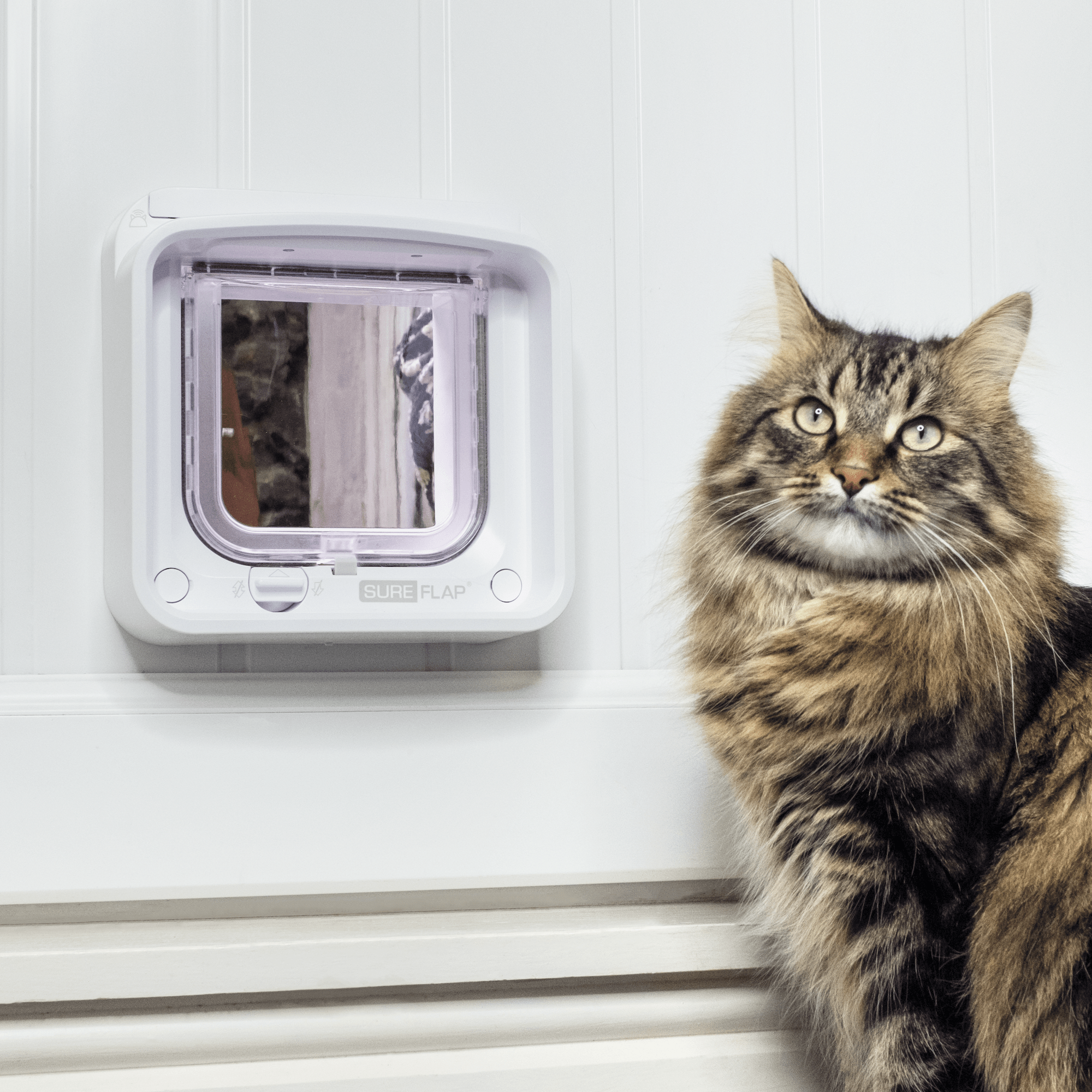 Chip controlled cat flap sale