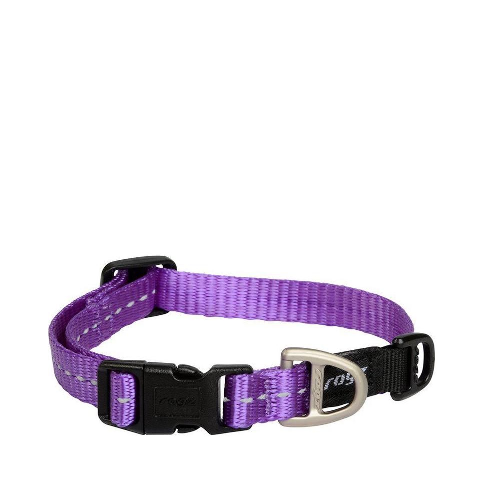 Buy Rogz Collar for your dog | Tinybuddy